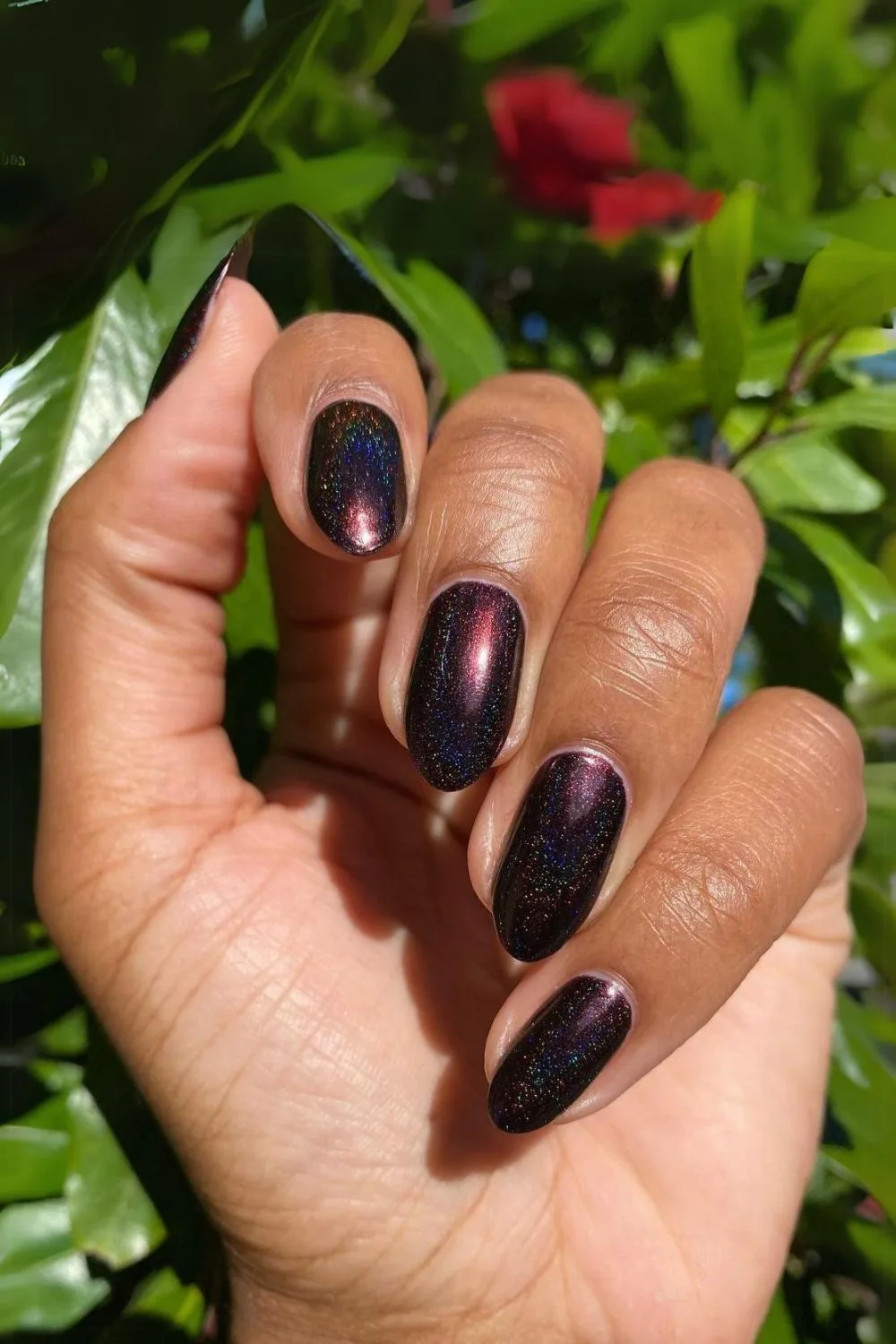 Black cherry velvet nails