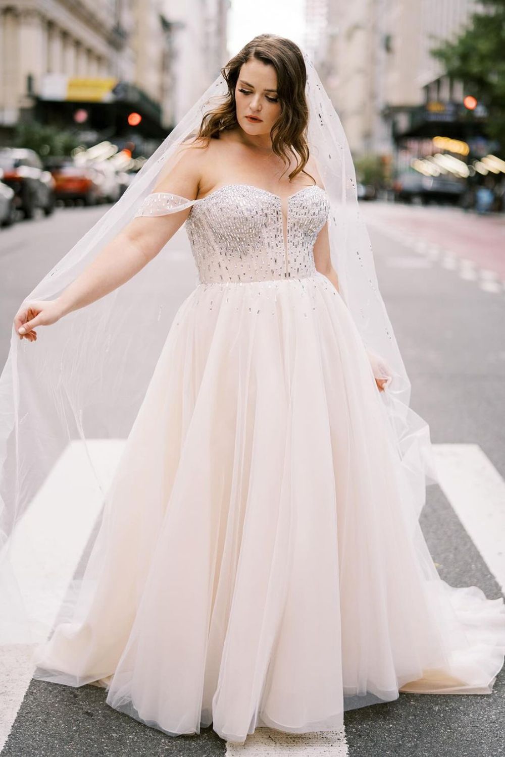 princess wedding dress for plus size