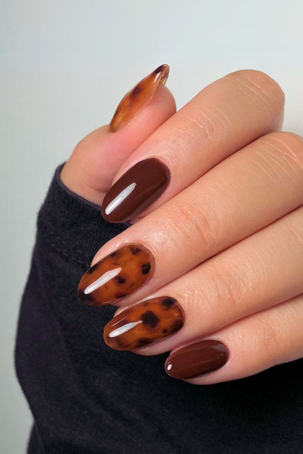 Brown and tortoise shell nails