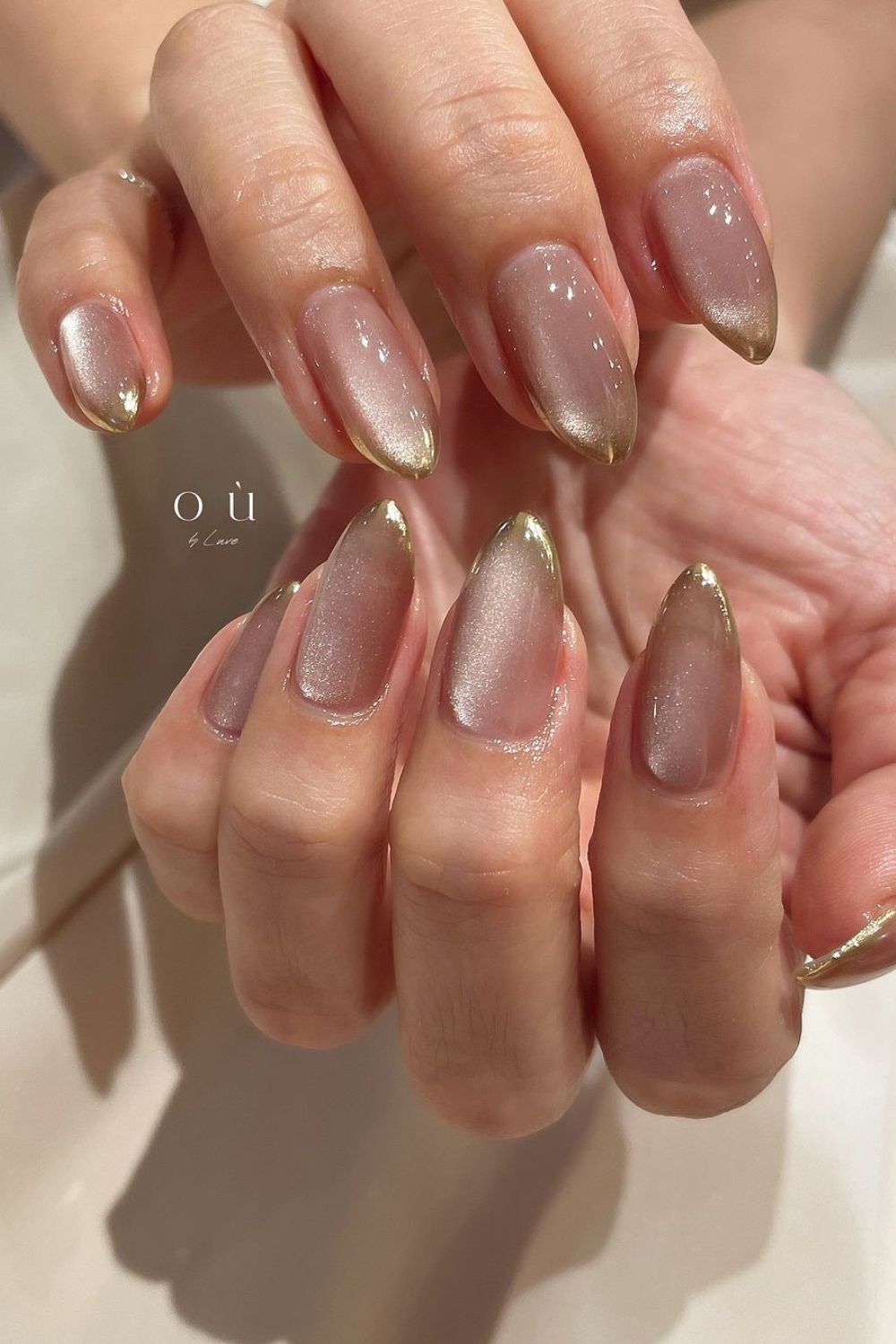 neutral velvet nails with gold tips