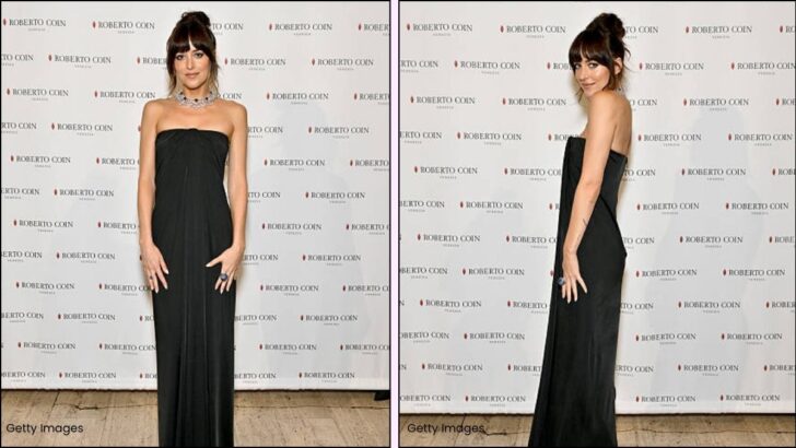 Dakota Johnson’s Ferragamo Maxi Dress Is Pure NYC Gala Glam