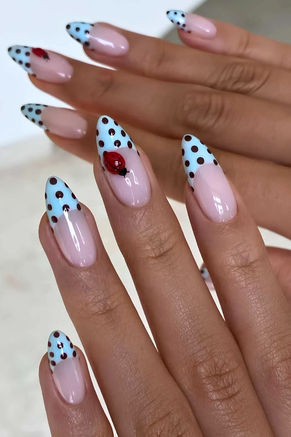 Blue dotted French mani with ladybugs