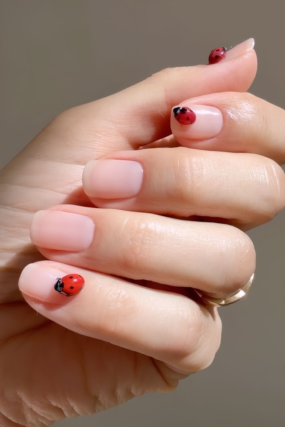 Neutral nails with 3d ladybugs