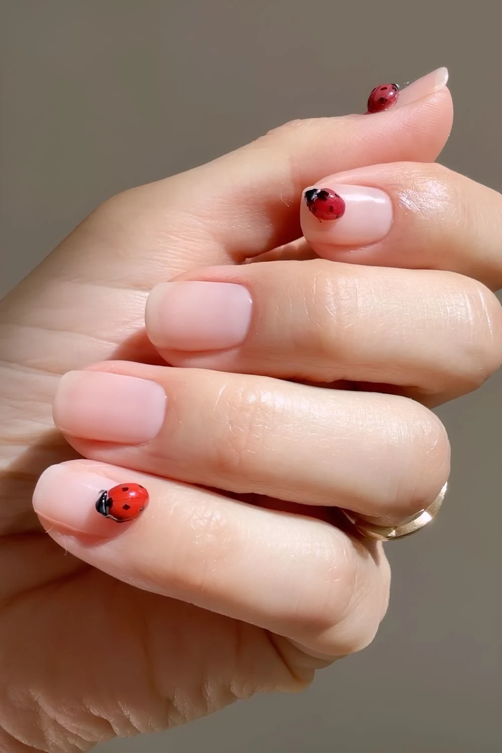 Neutral nails with 3d ladybugs