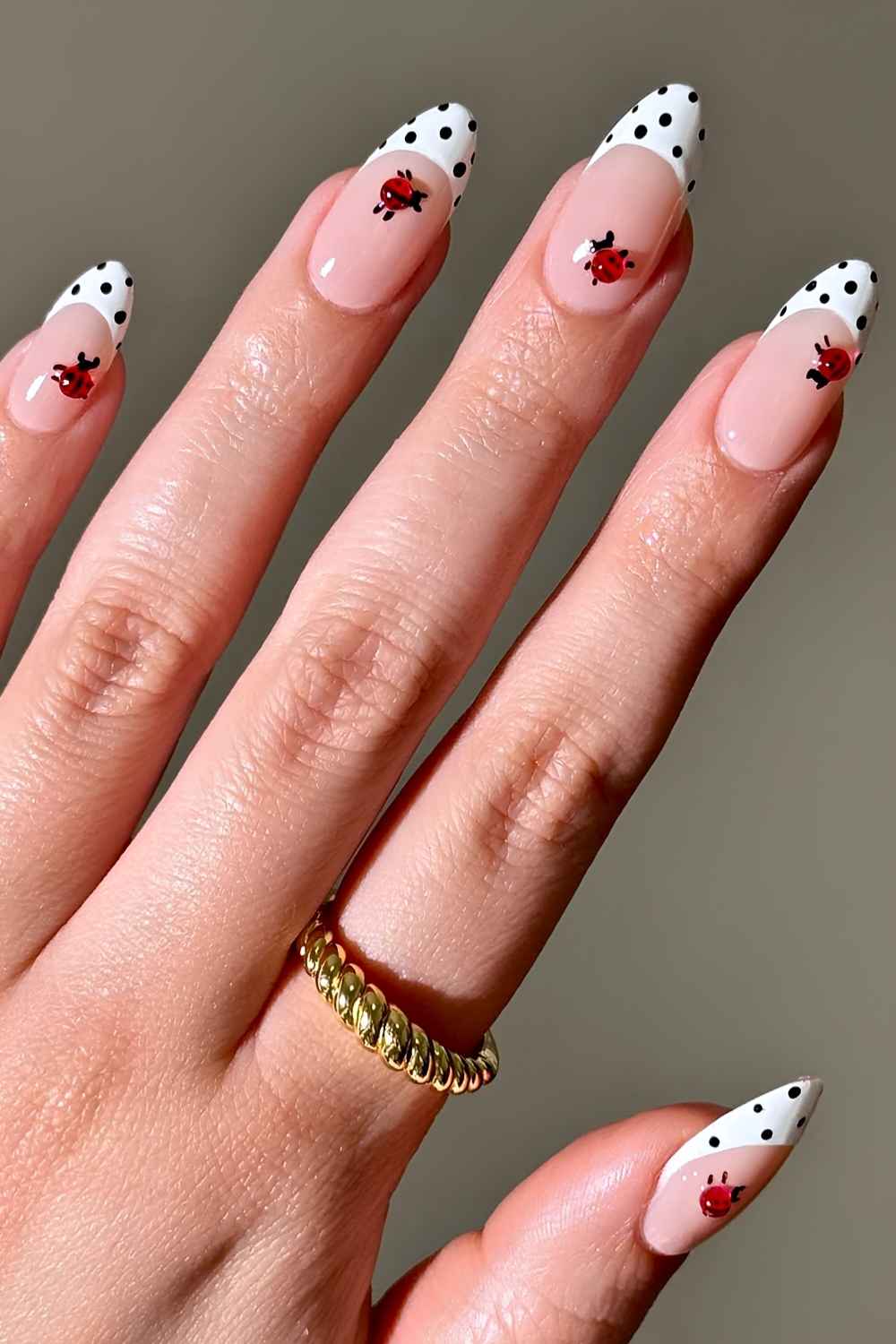 White and black polka dot Frenchies with ladybugs