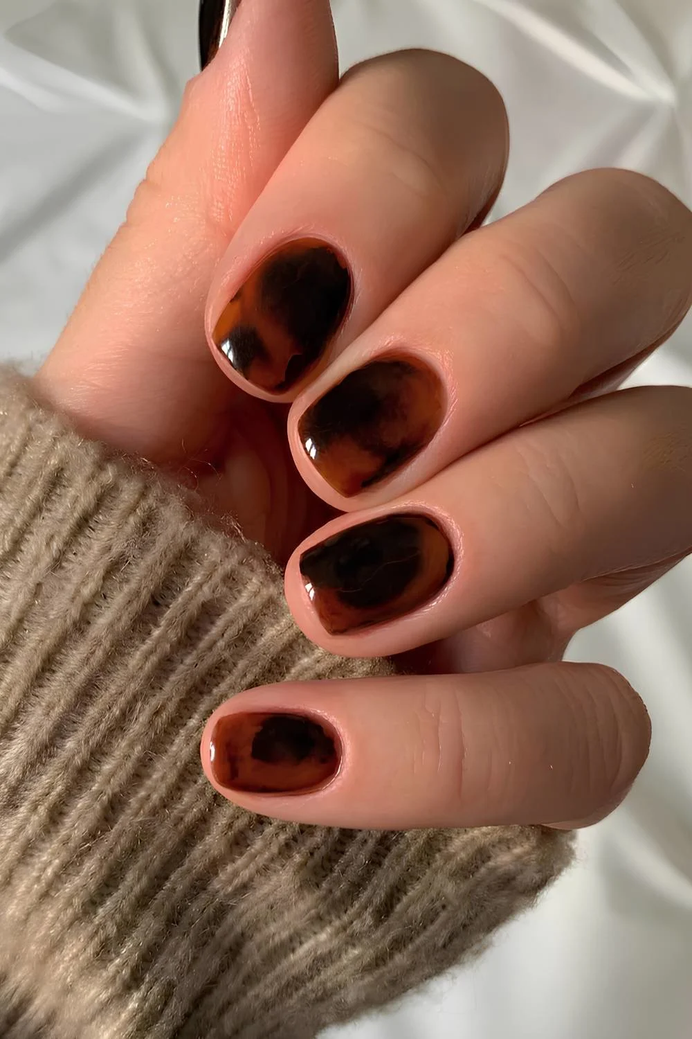Practical Short Tortoiseshell