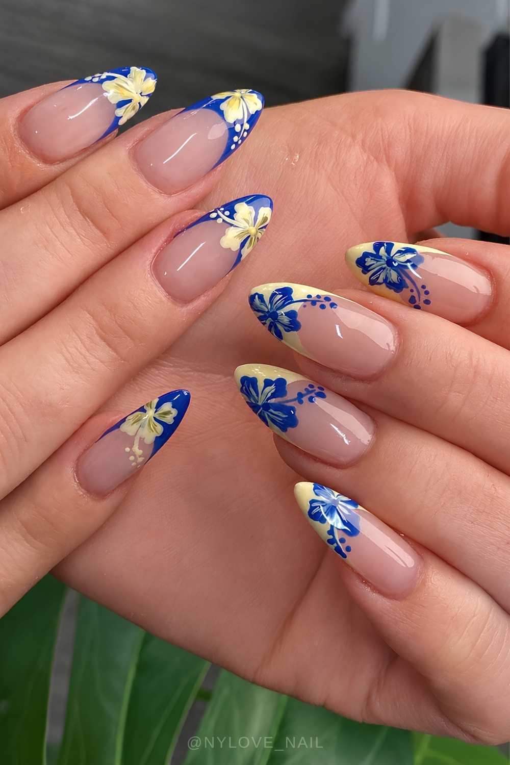 Blue and yellow Frenchies with hibiscus flowers
